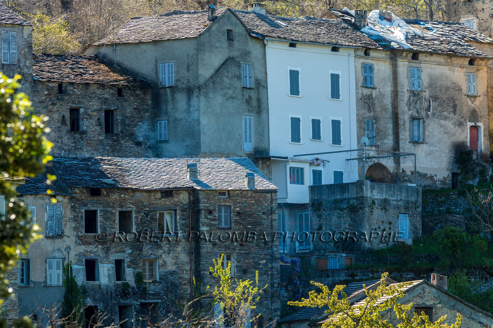 Saliceto