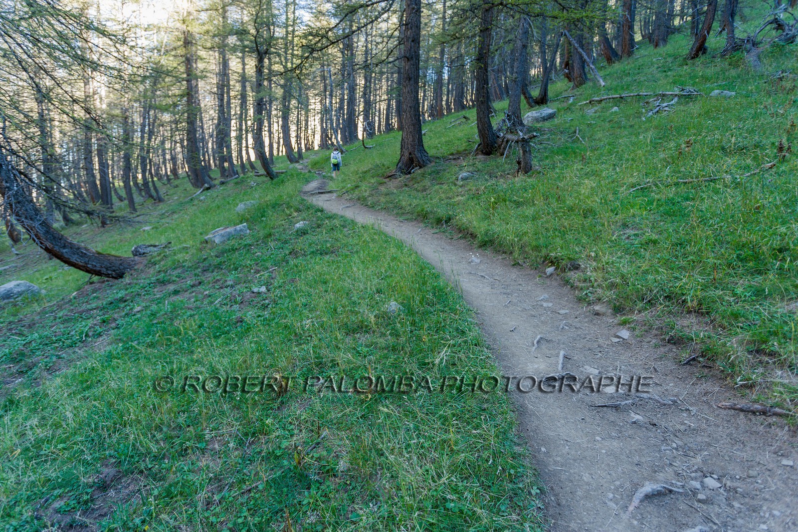 Col de la Petite Cayolle Col de la Petite Cayolle