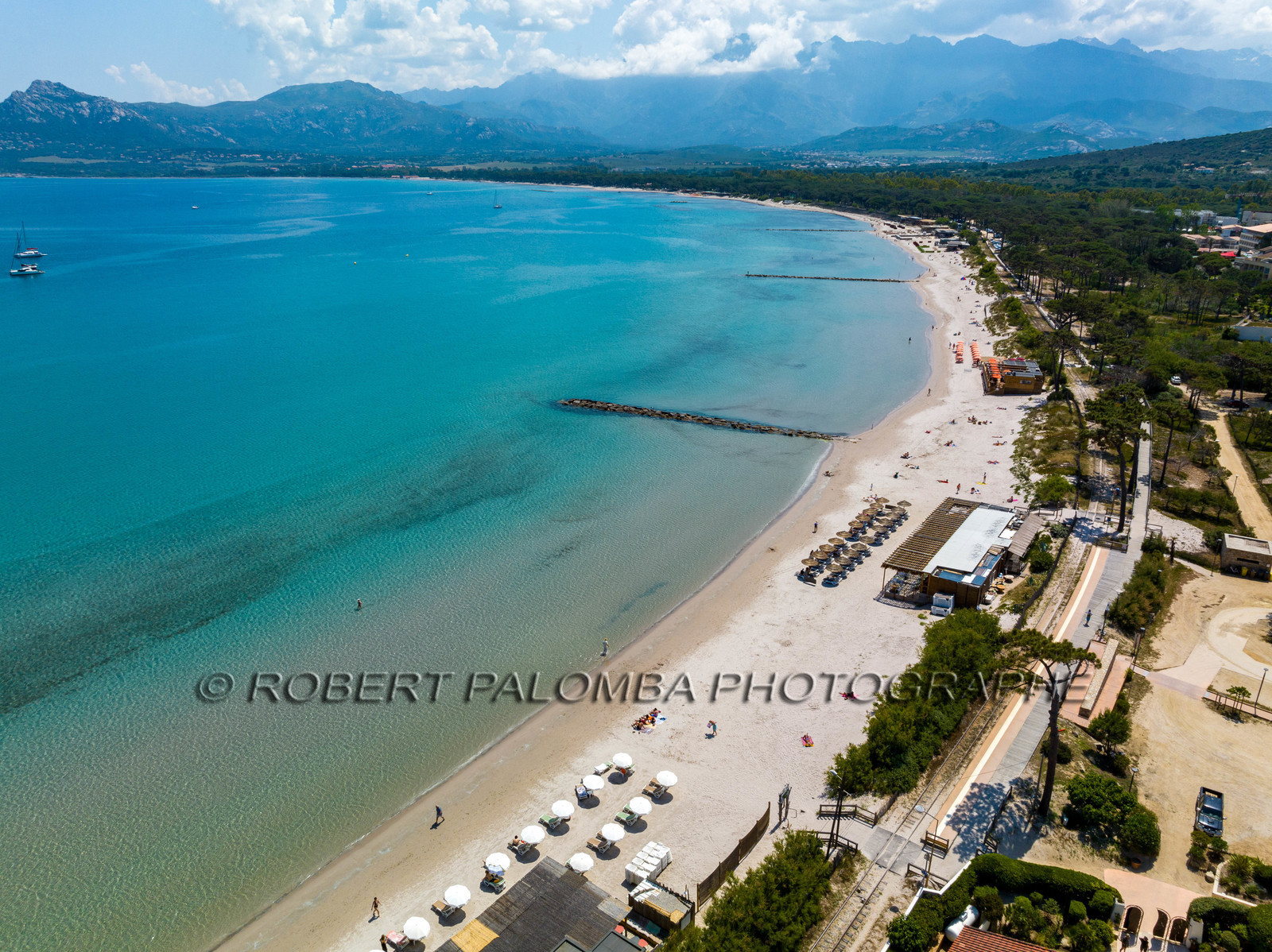 Calvi