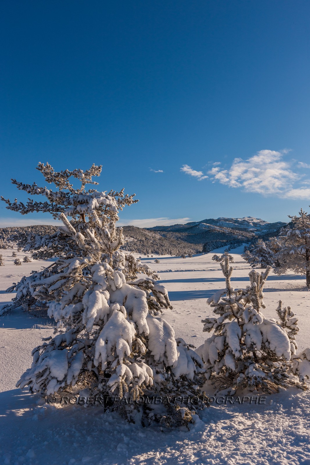 Gréolières-les-Neiges