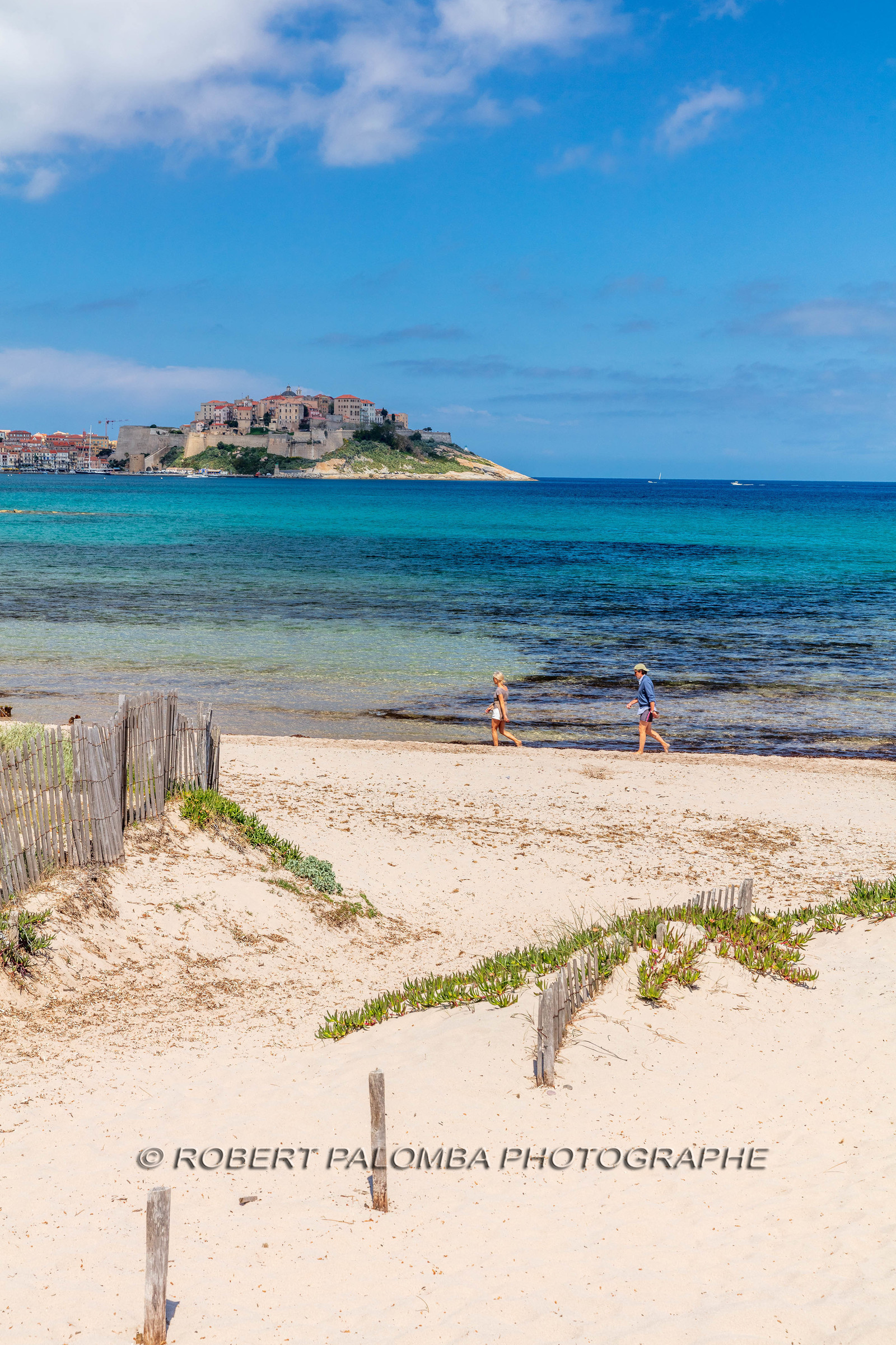Calvi