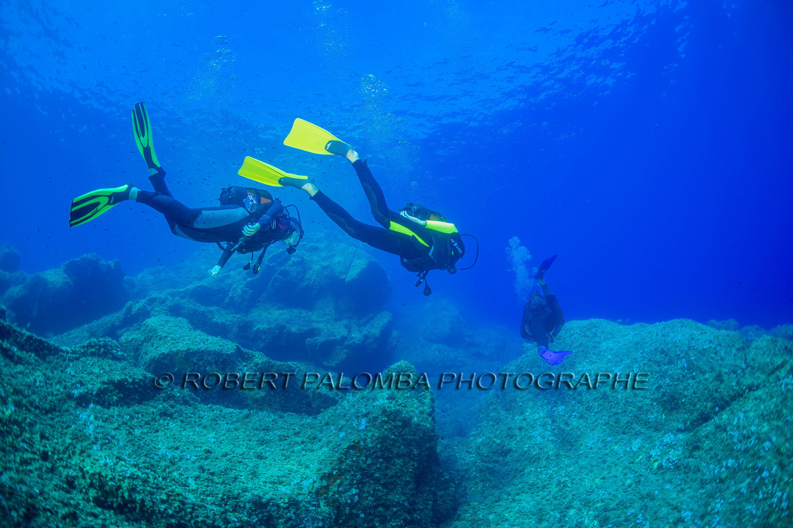 Plongée-sous-marine