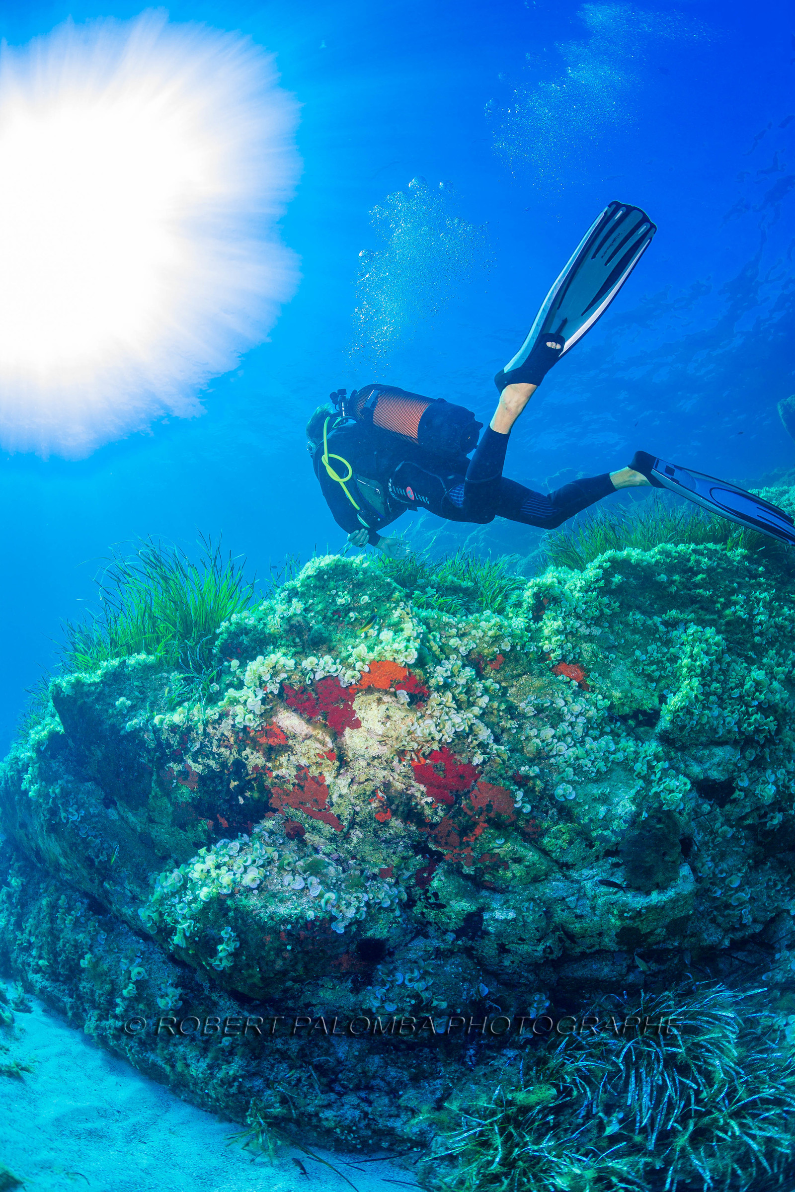 Plongée-sous-marine