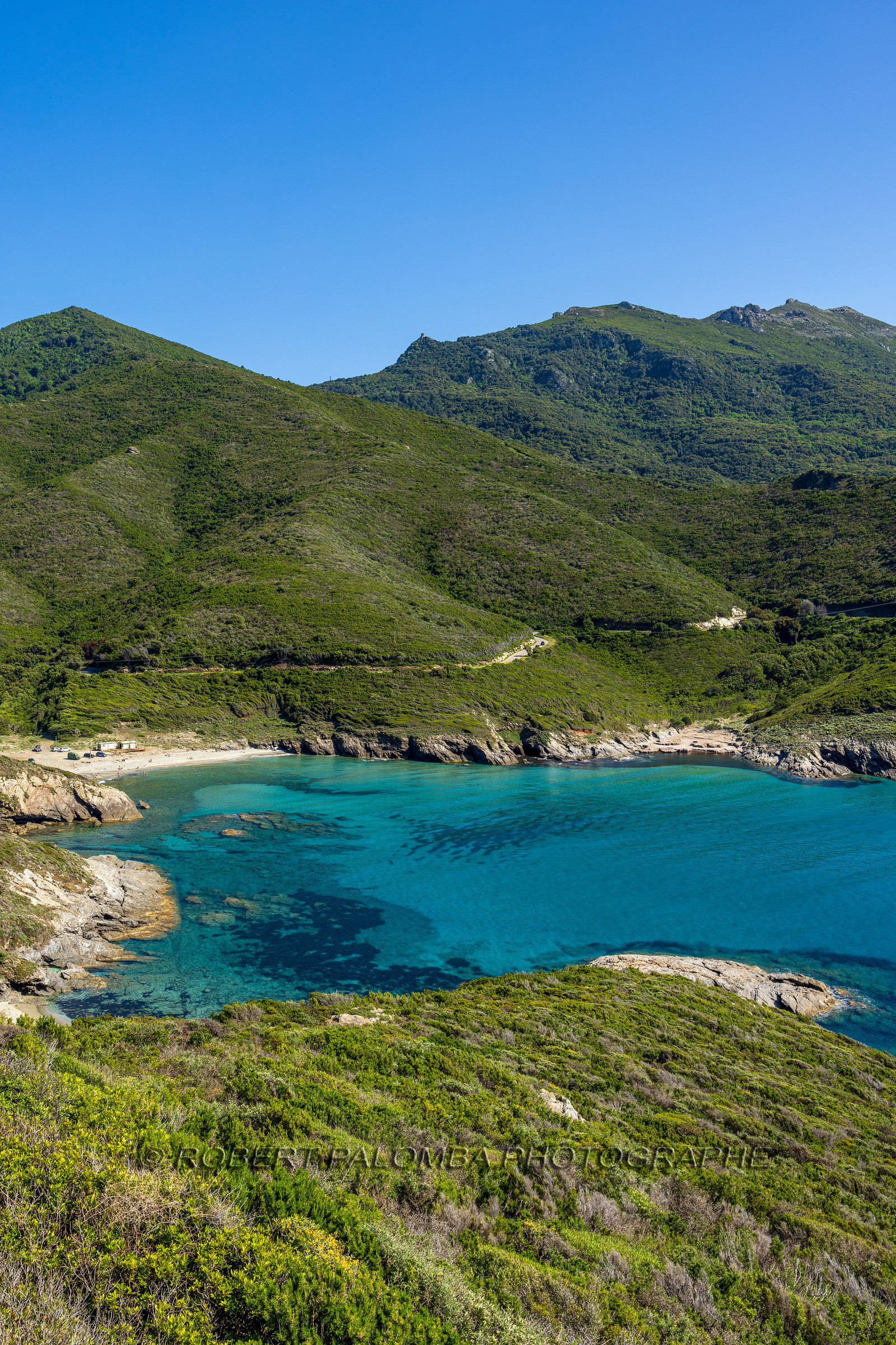 Aliso