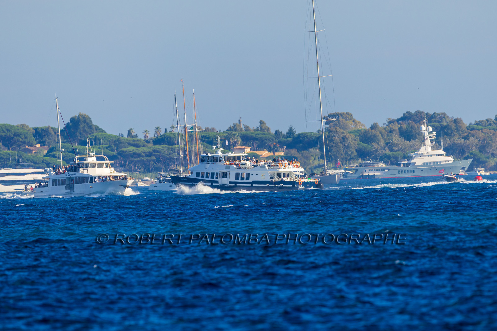 Les Voiles de Saint-Tropez