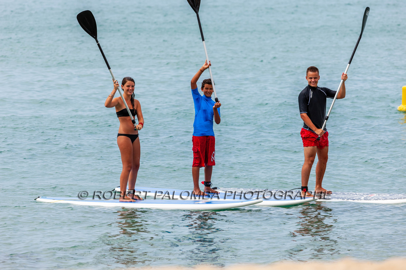 Paddle
