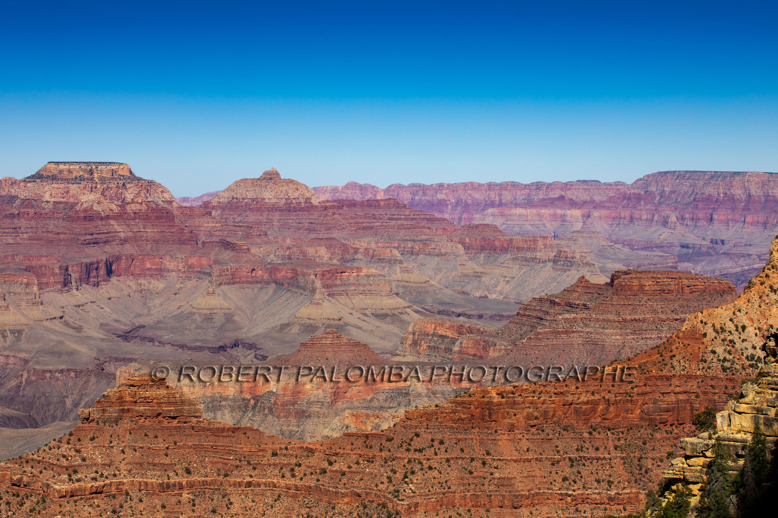 Grand Canyon