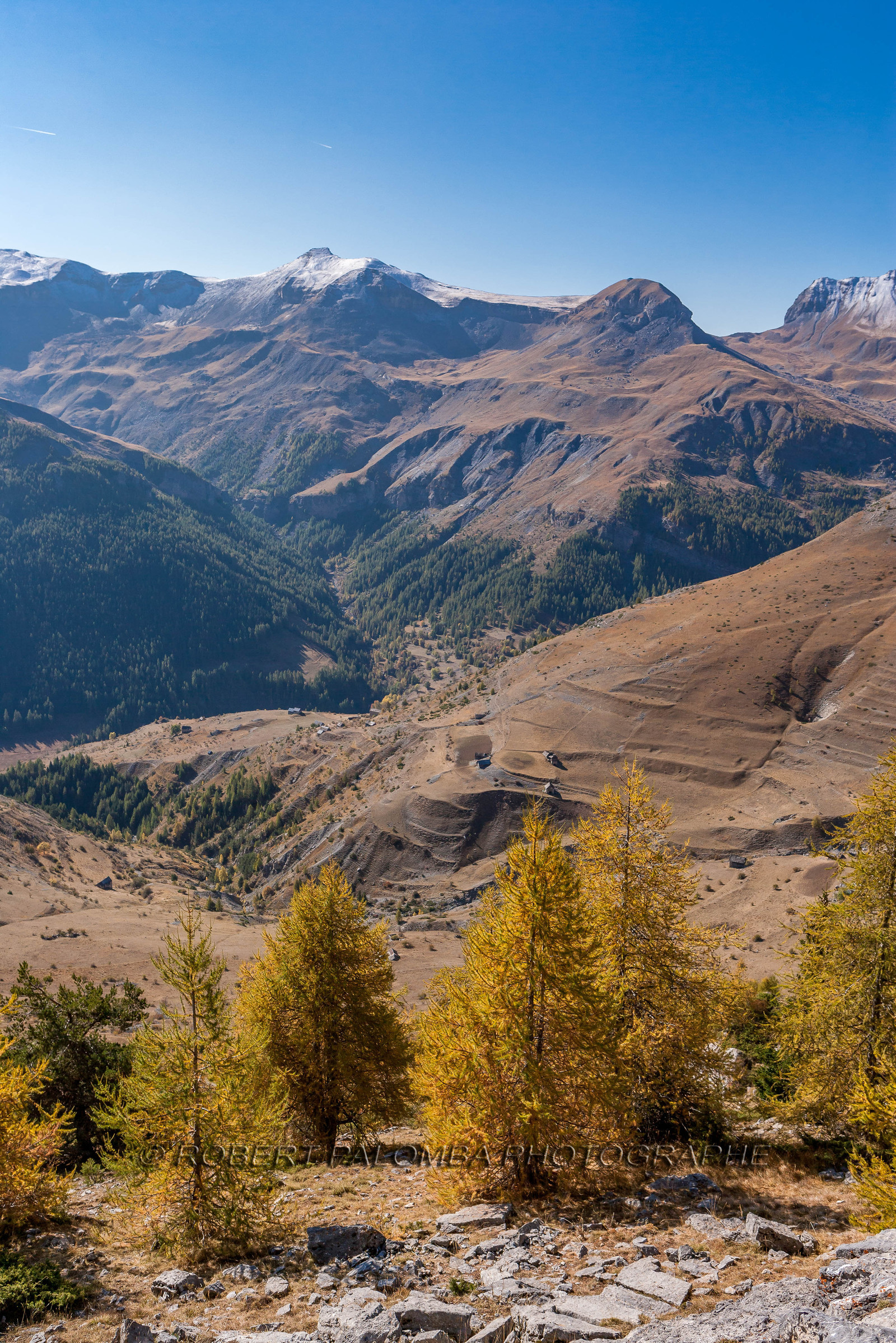 Auron