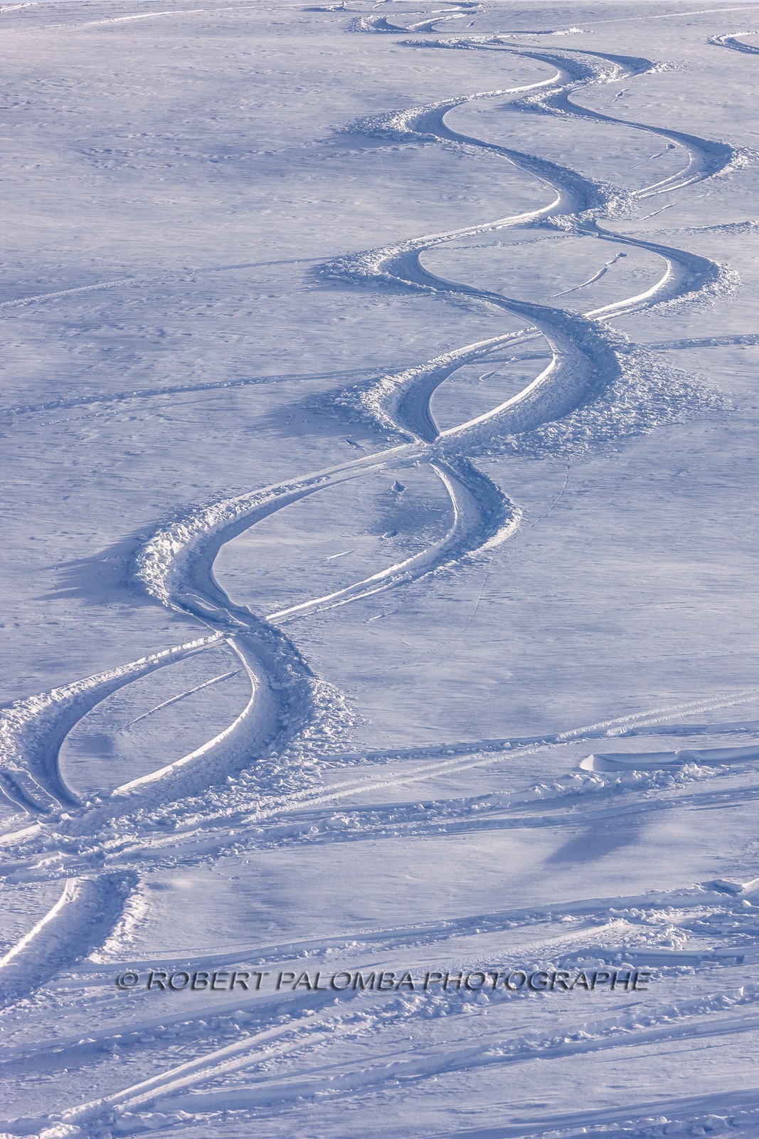 Traces dans la poudreuse