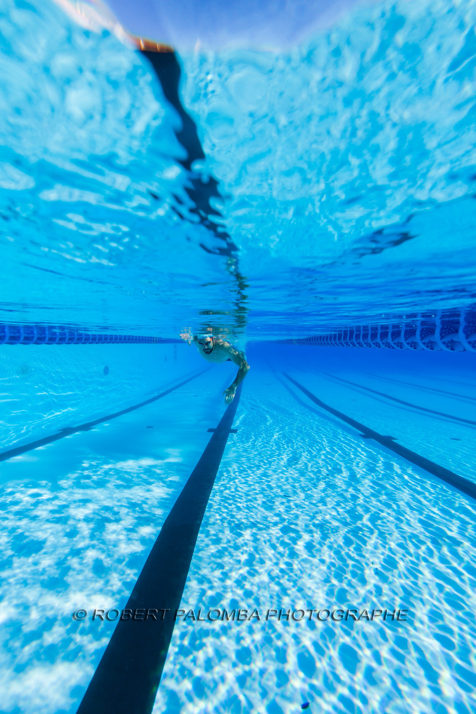 Natation