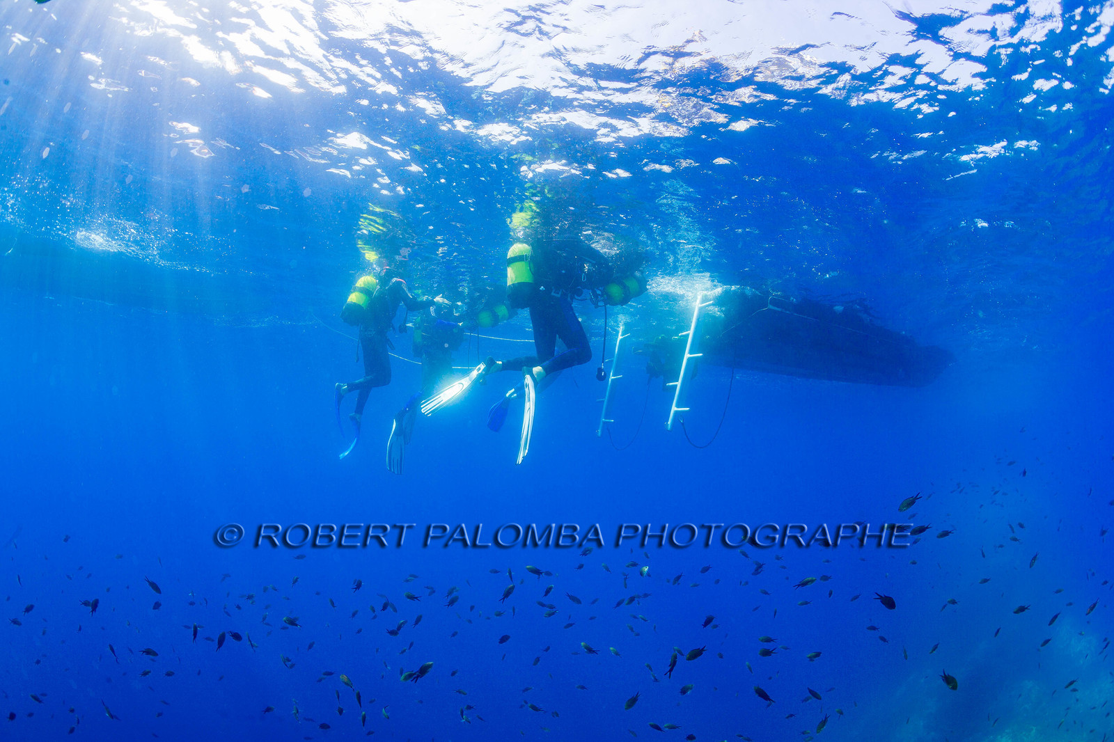 Plongée-sous-marine