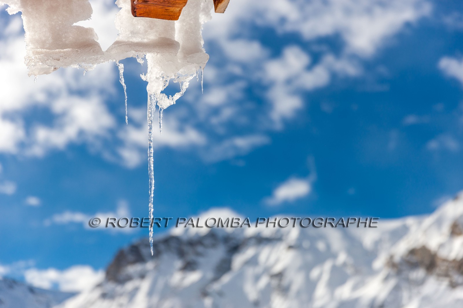 Auron