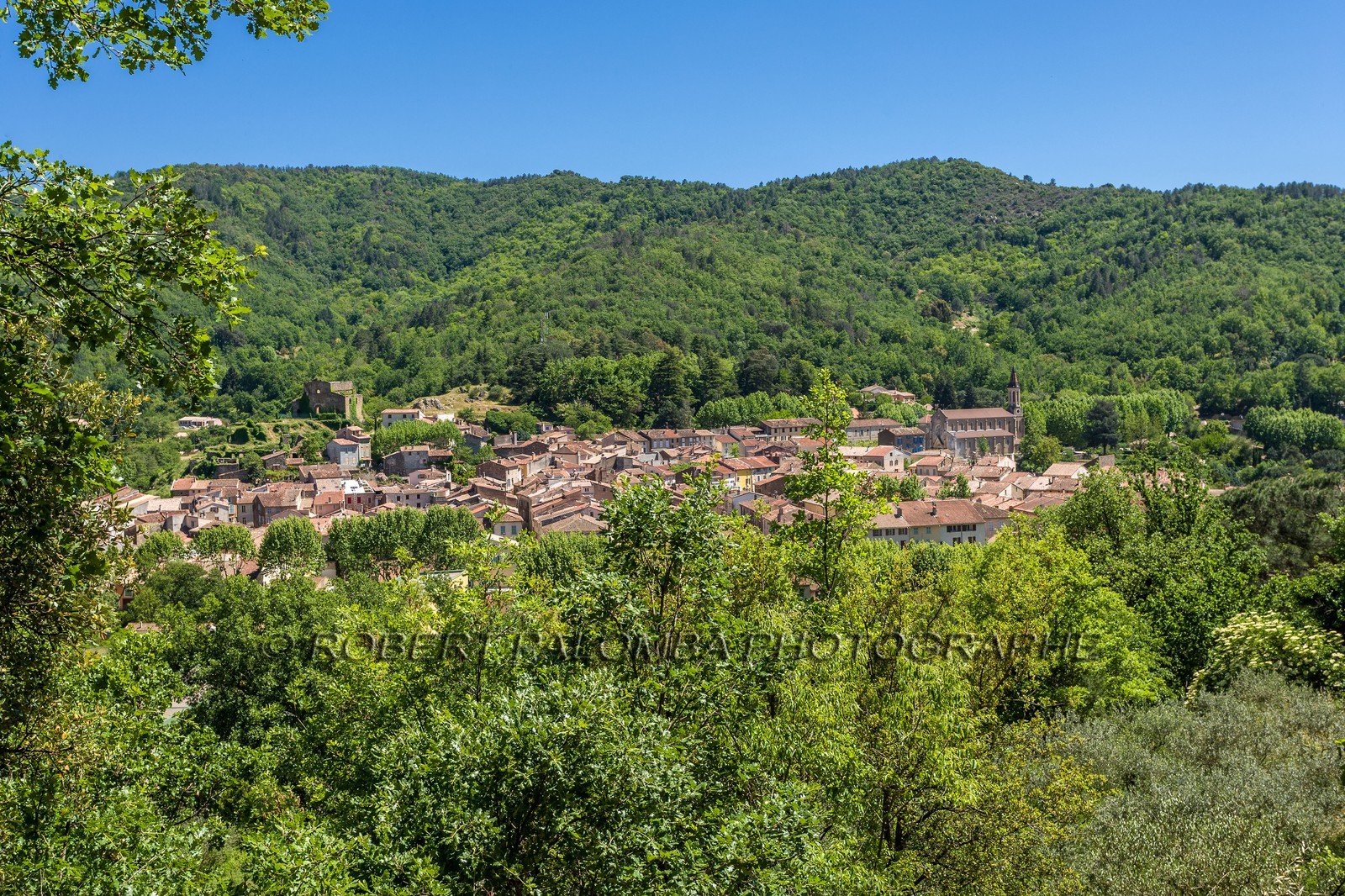 Collobrières