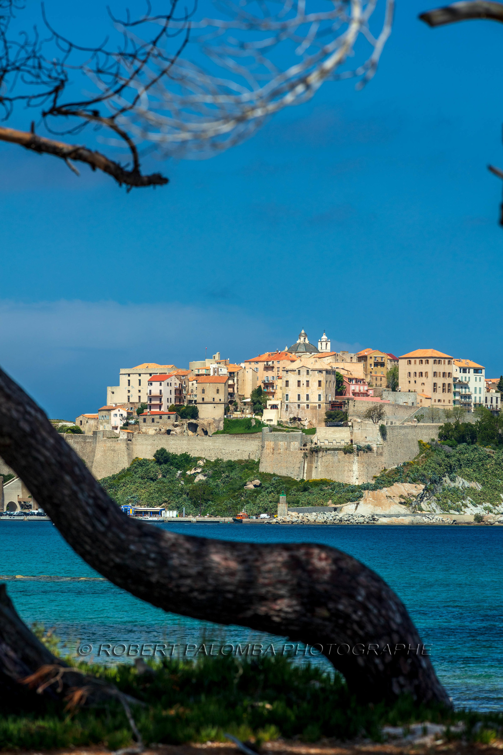Calvi
