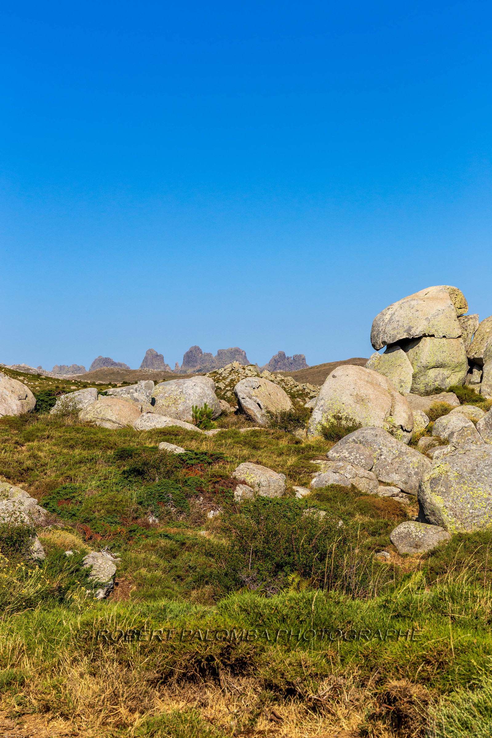 Plateau du Coscione