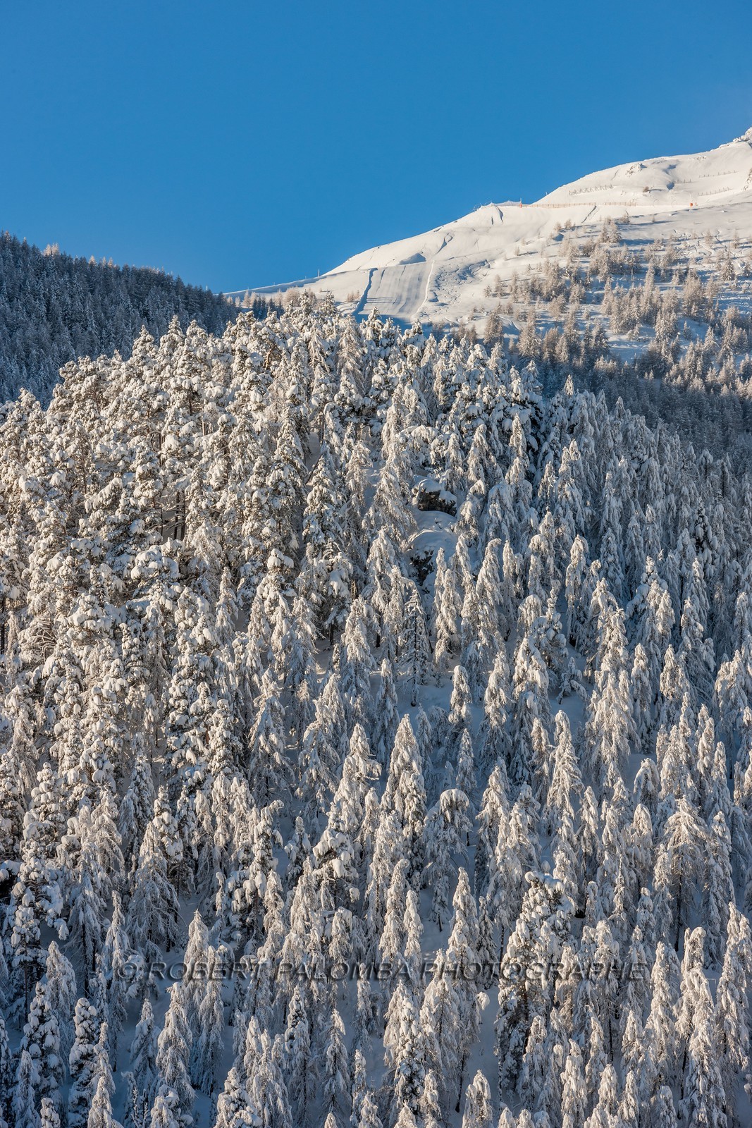 Auron