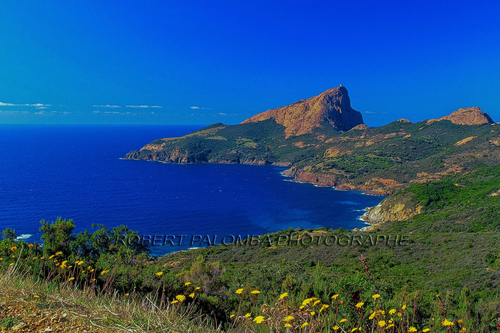 Piana