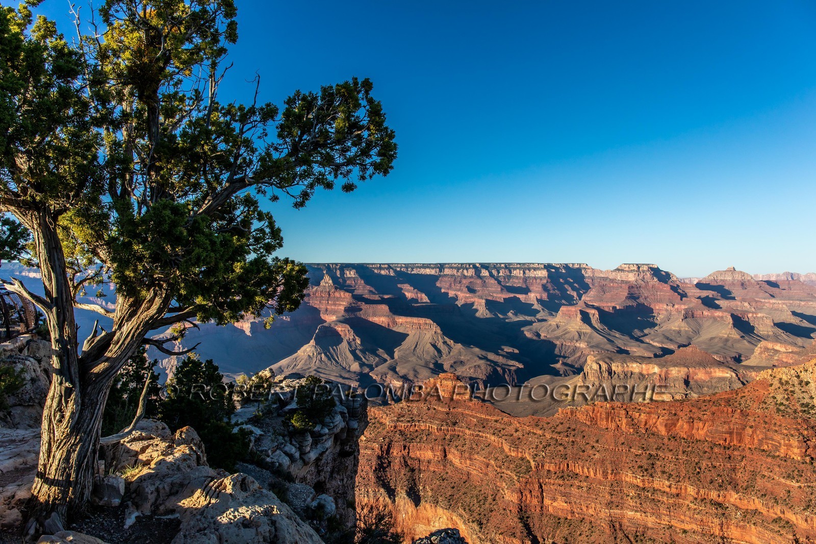 Grand Canyon