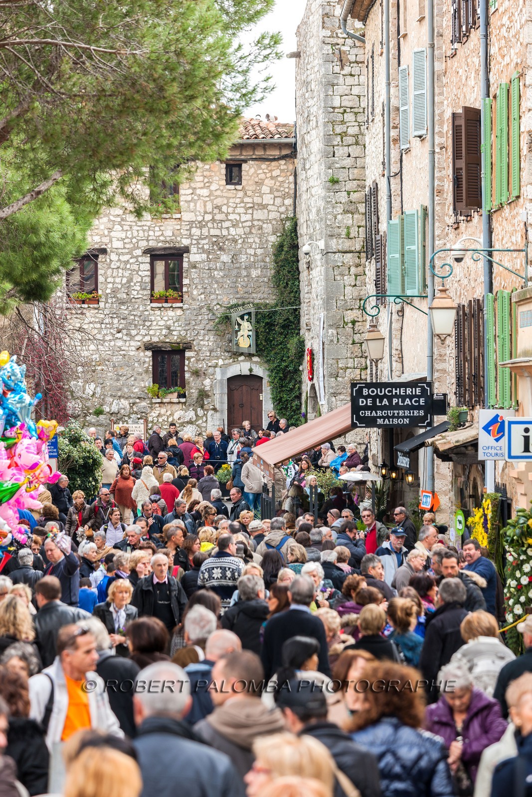 Fête des Violettes