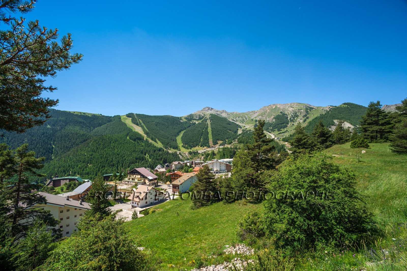 Auron