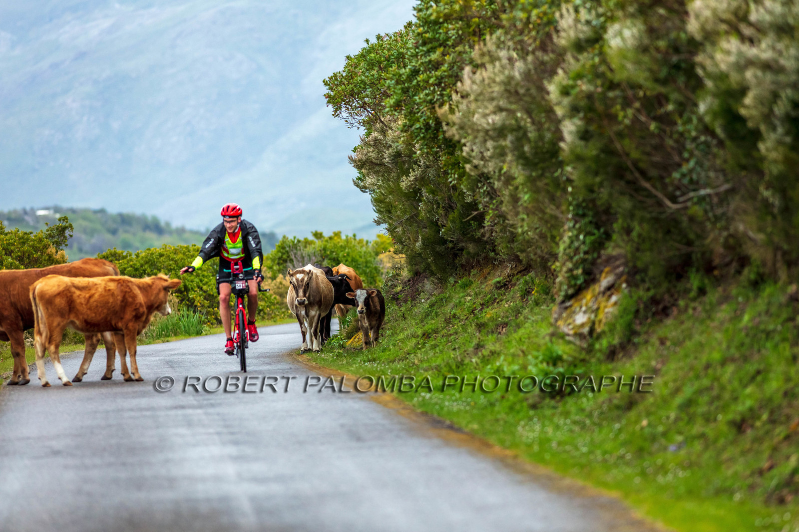 Bikingman Corsica 2019