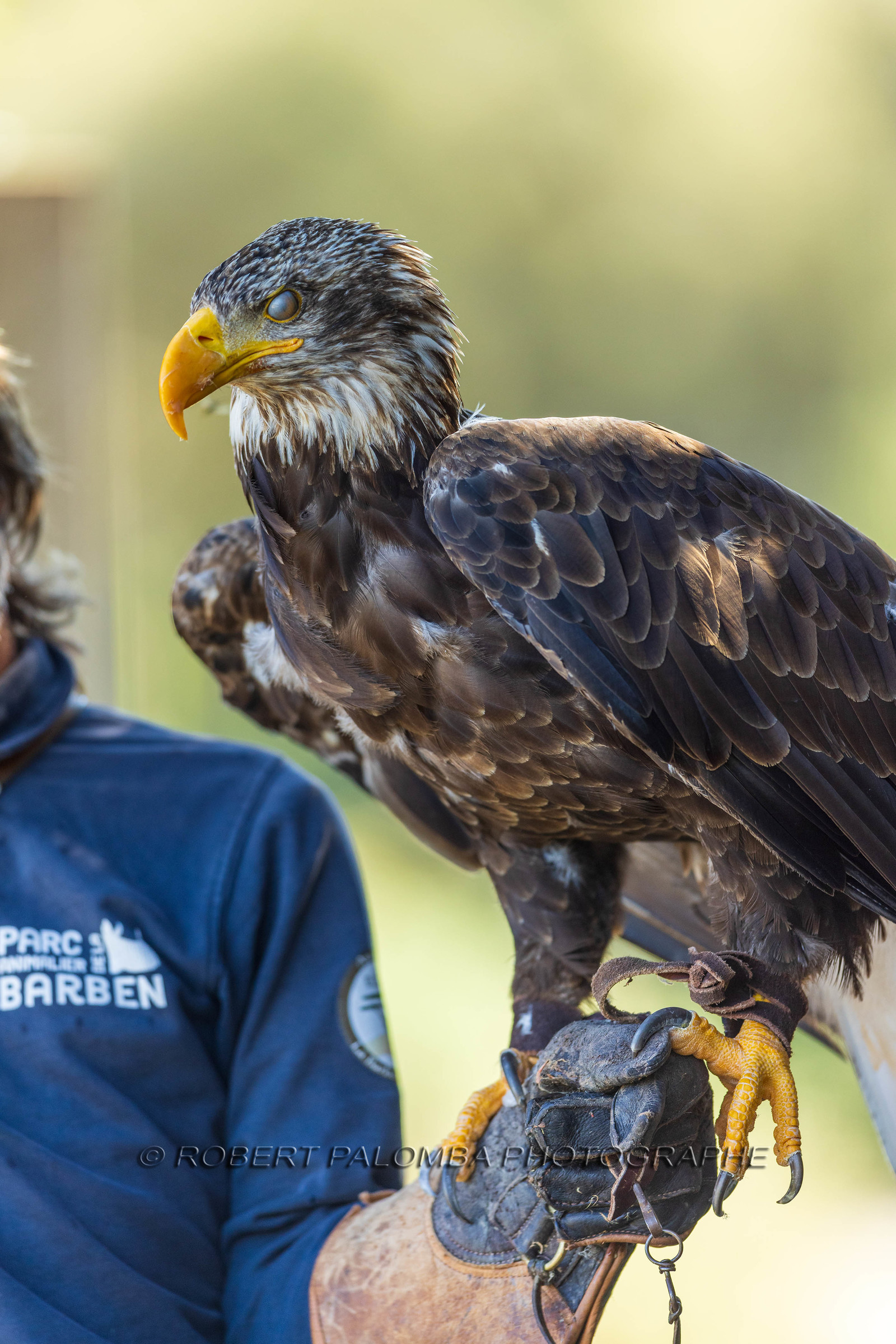Parc animalier de la Barben