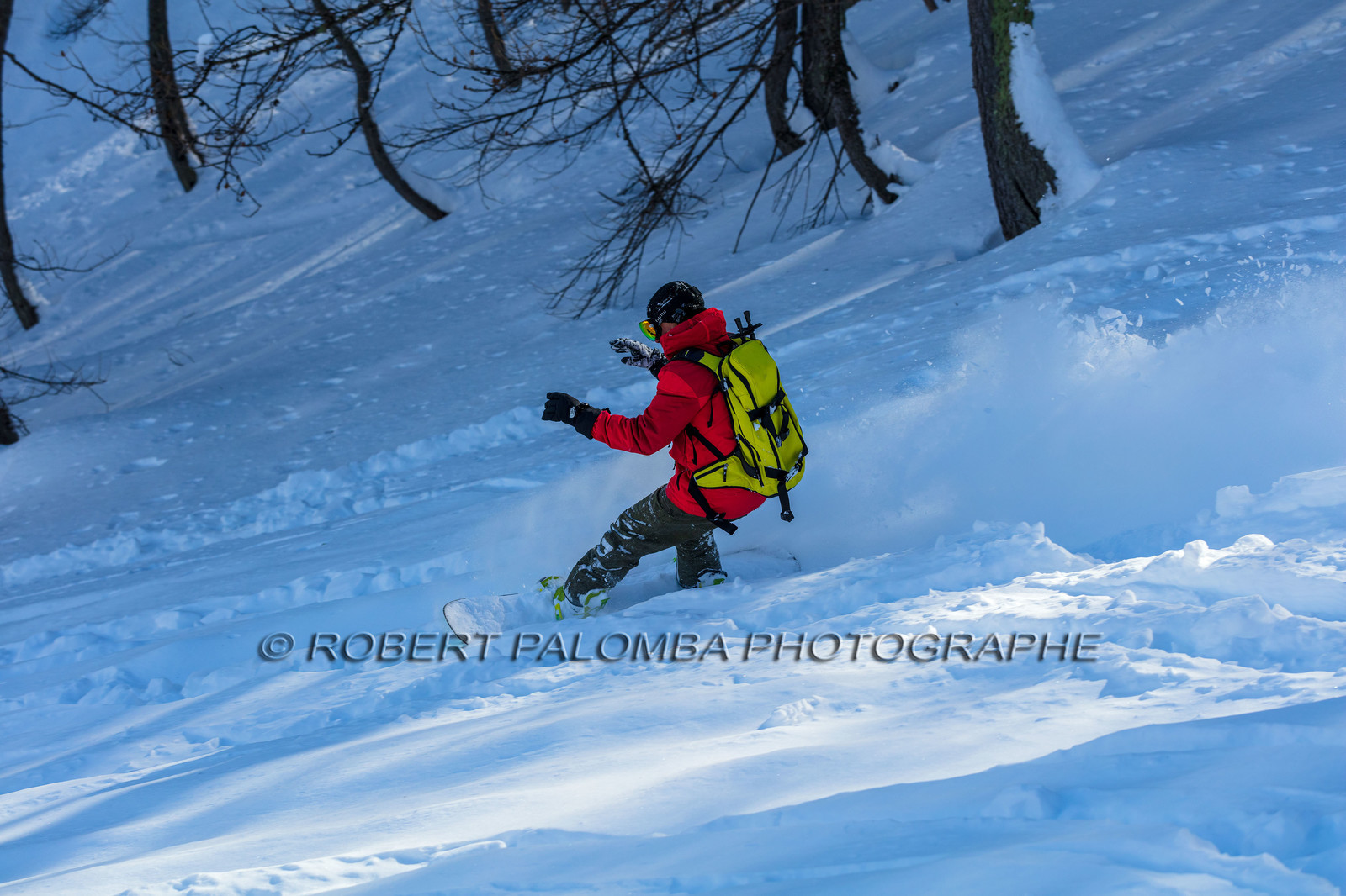 Snowboard