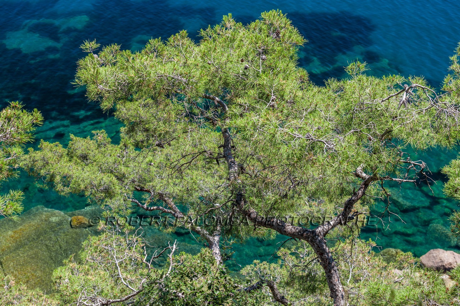 .La Seyne-sur-Mer