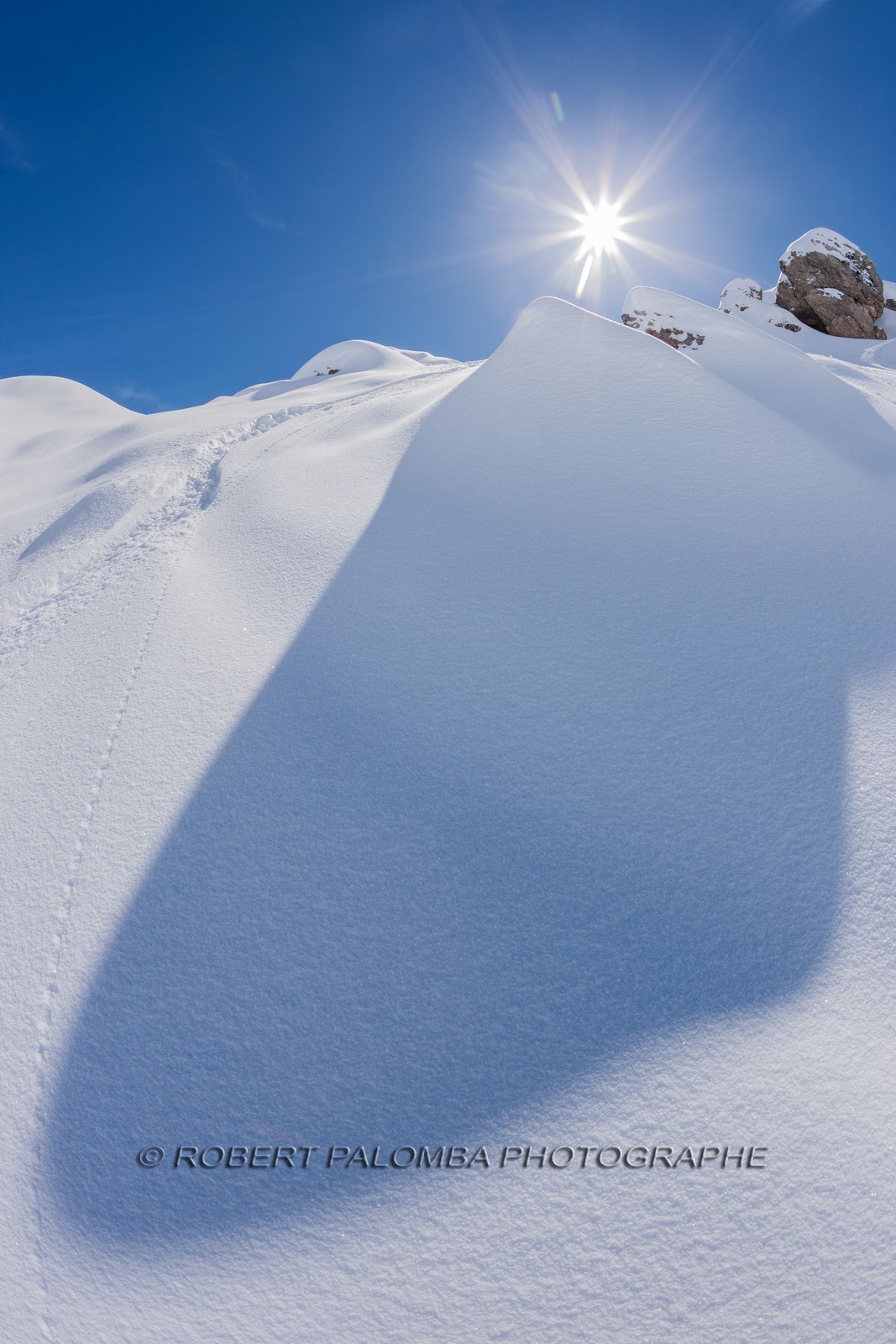 Auron