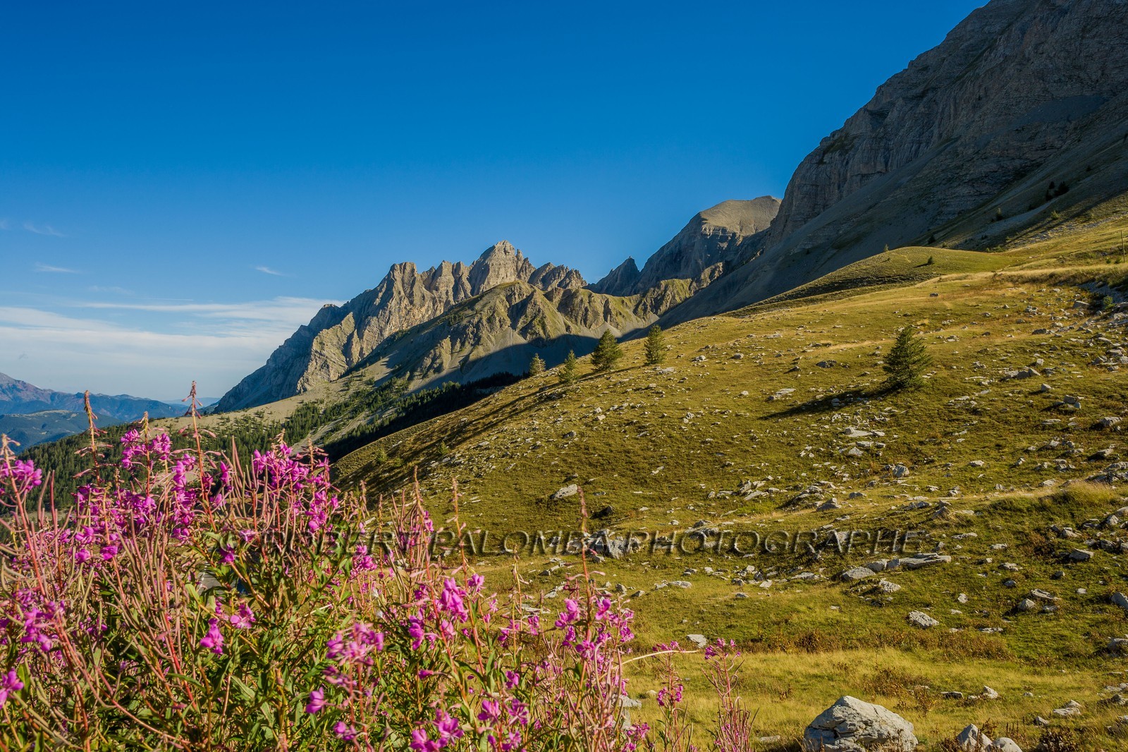 Col des Champs