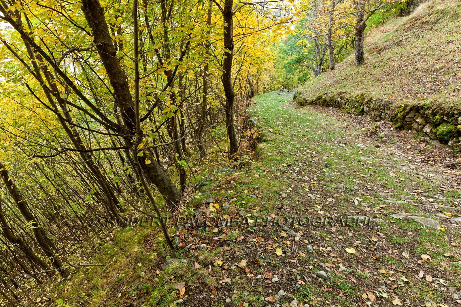 Sentier cascade de Louch