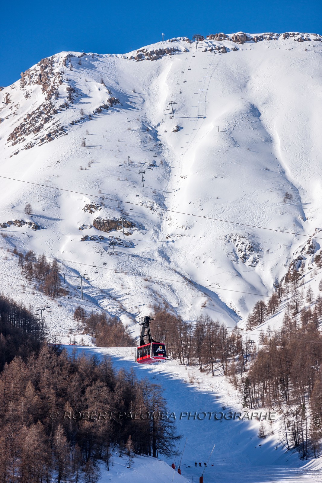 Auron