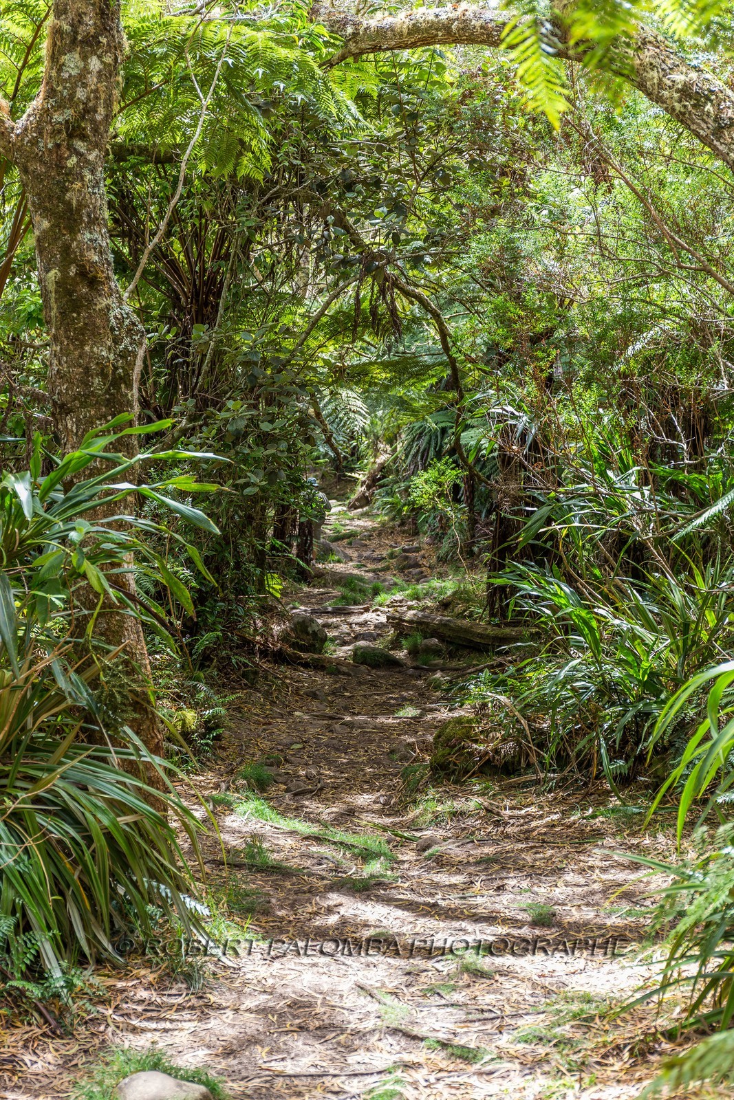 Ile de La Réunion