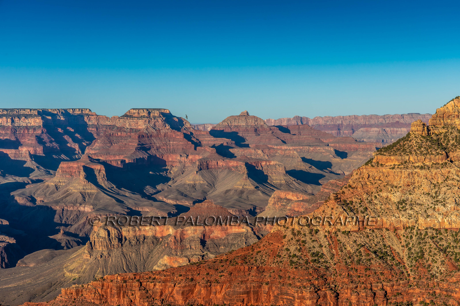 Grand Canyon