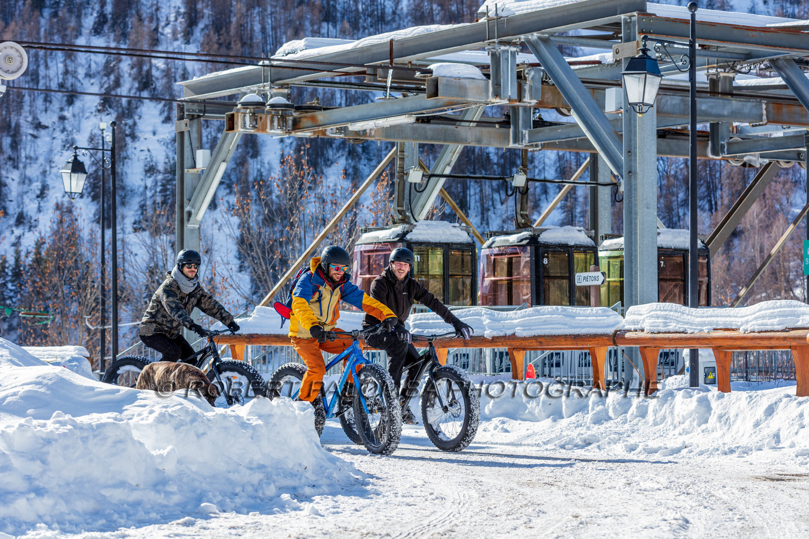 Fat Bike