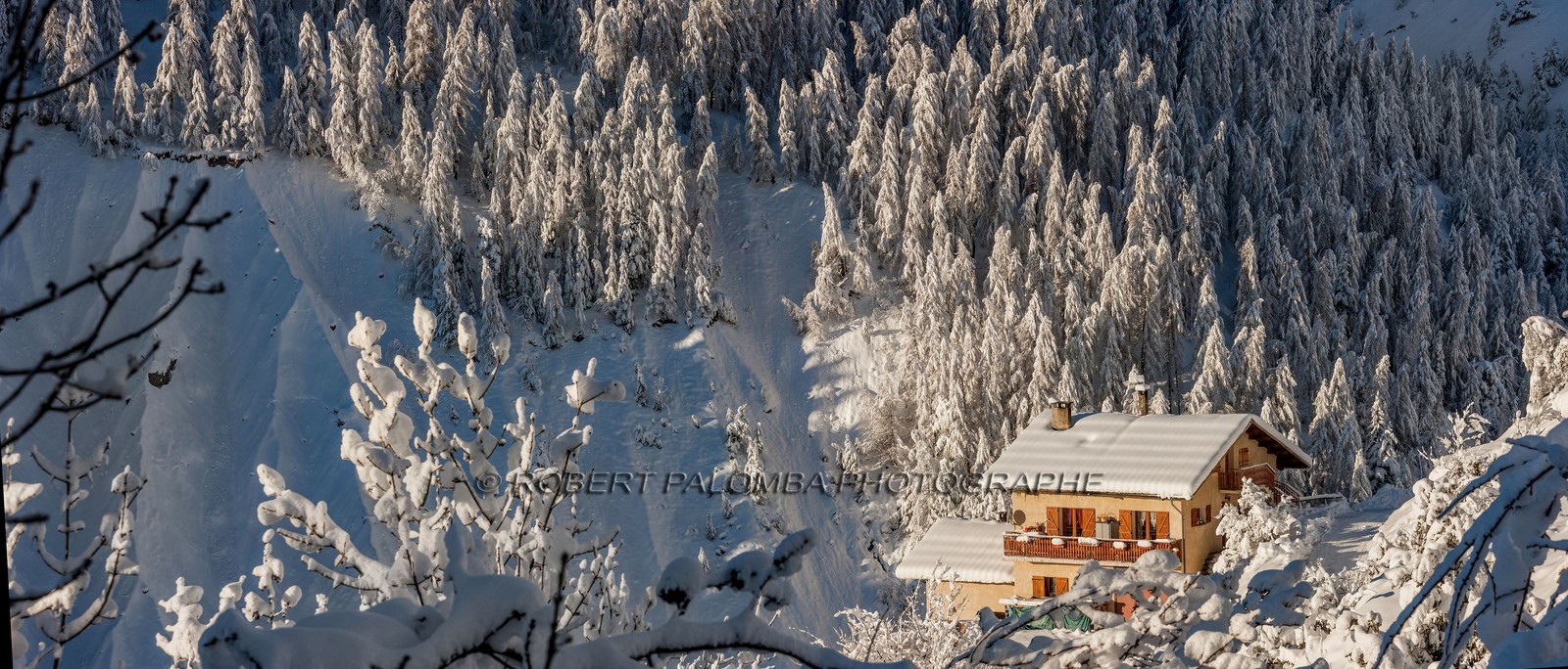 Auron