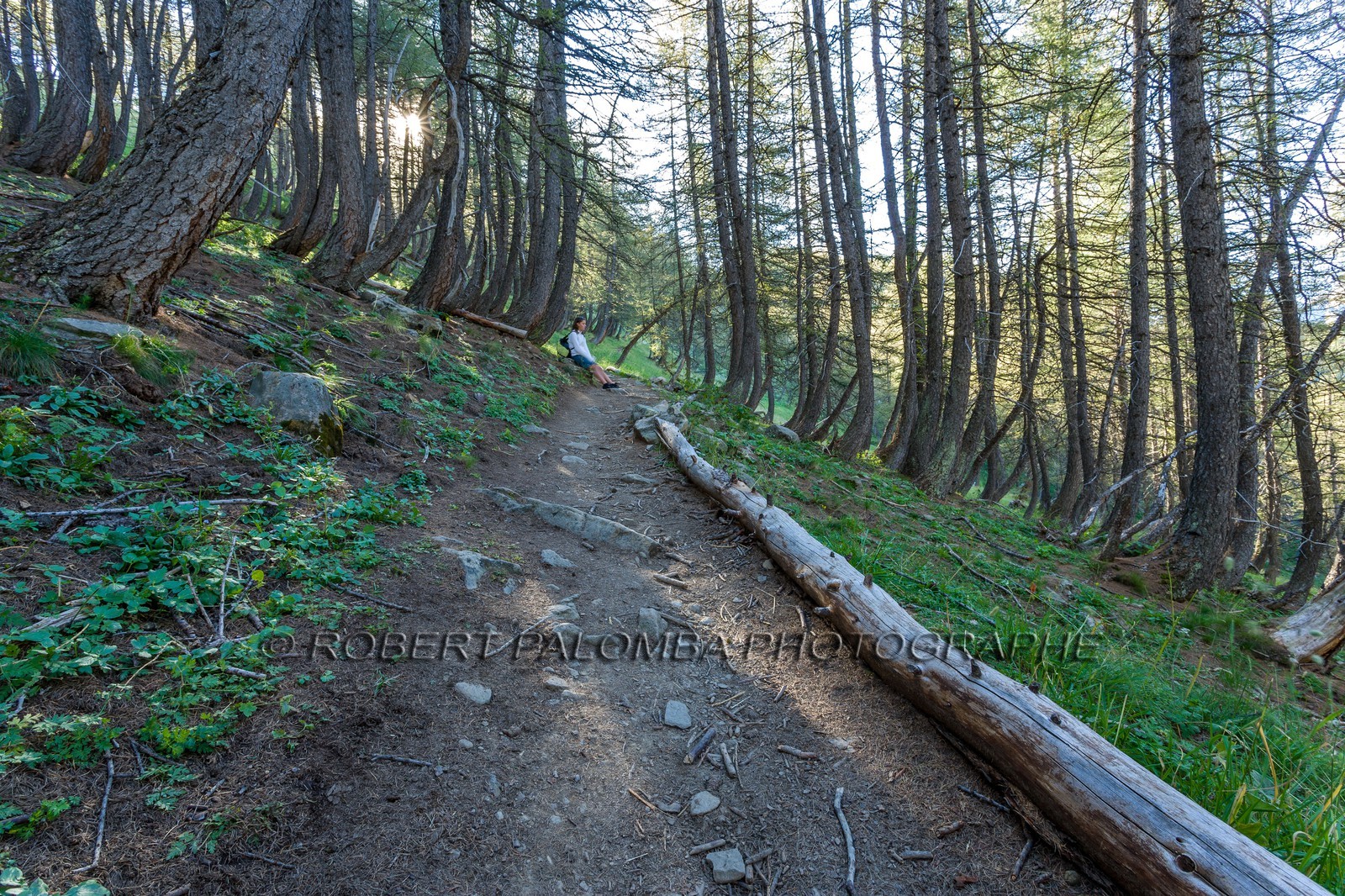 Col de la Petite Cayolle Col de la Petite Cayolle