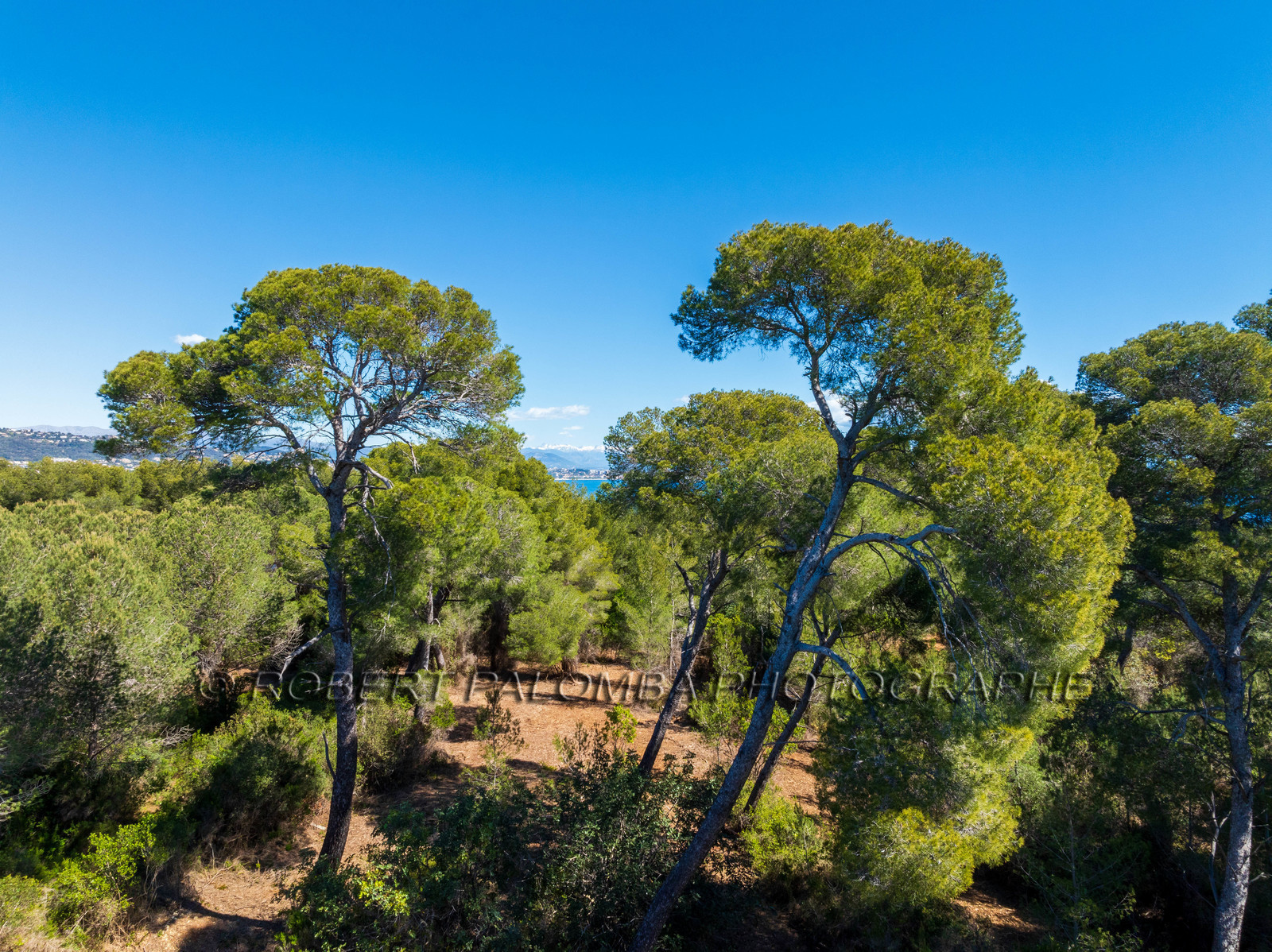 Lérins Sainte-Marguerite 2024