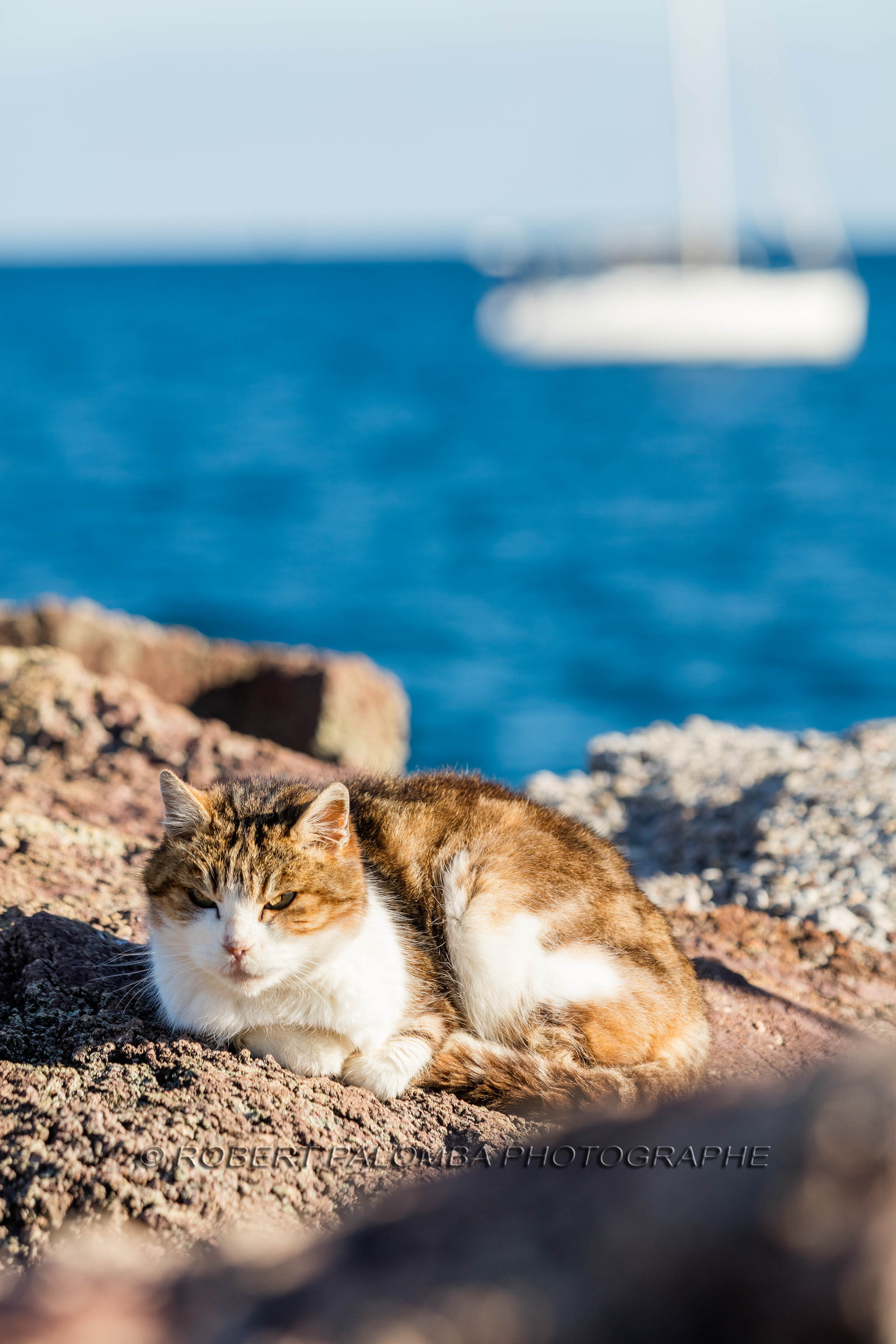 Mandelieu-la-Napoule