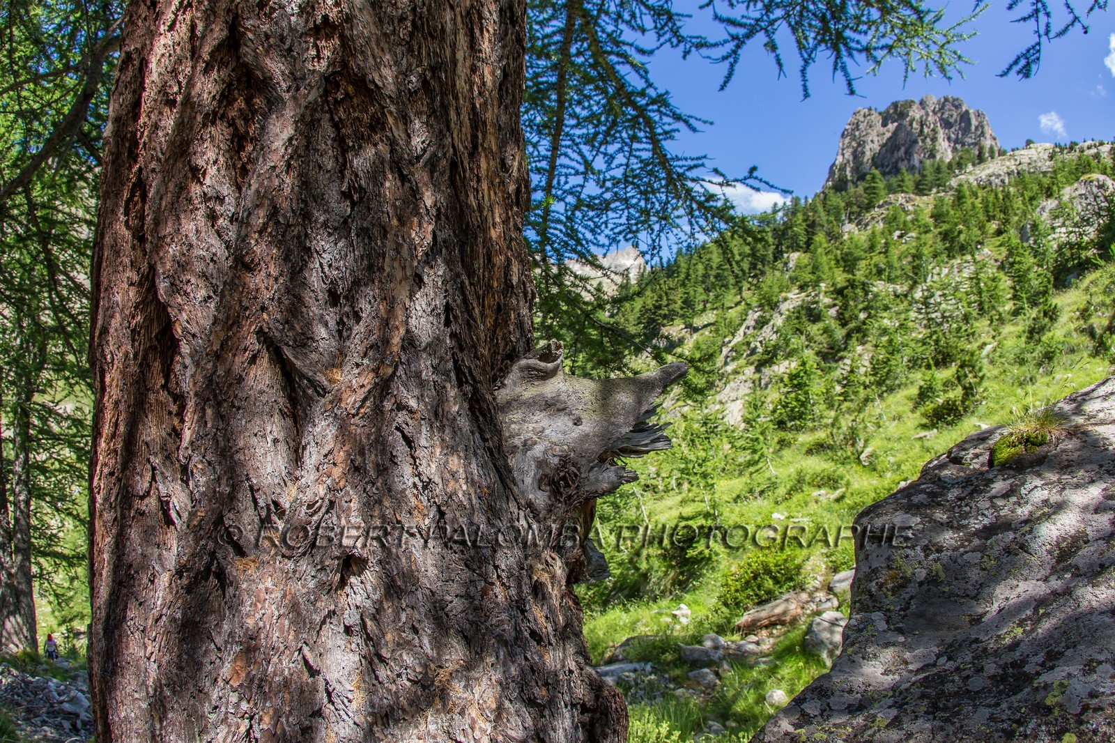 Mercantour