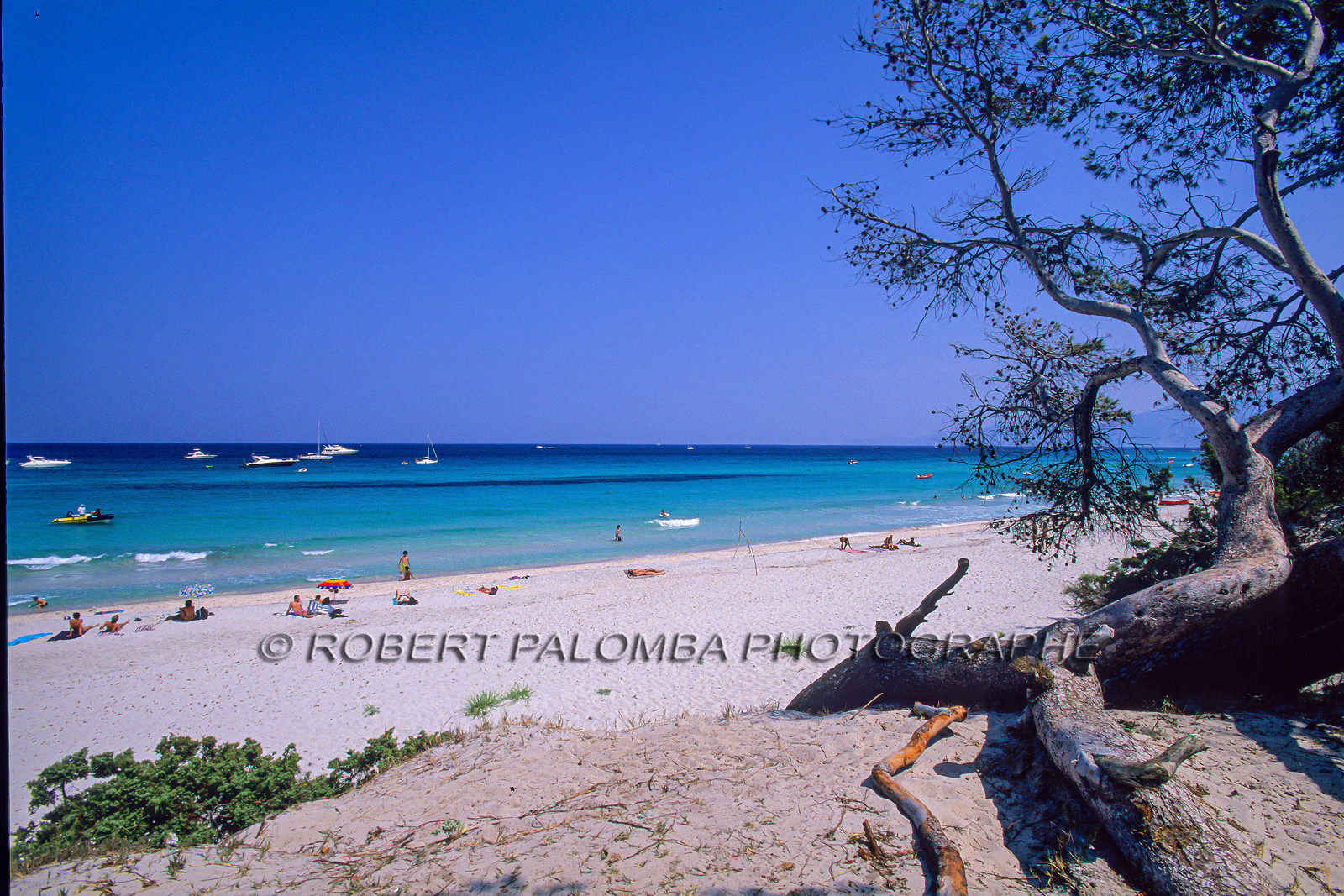 Saleccia
