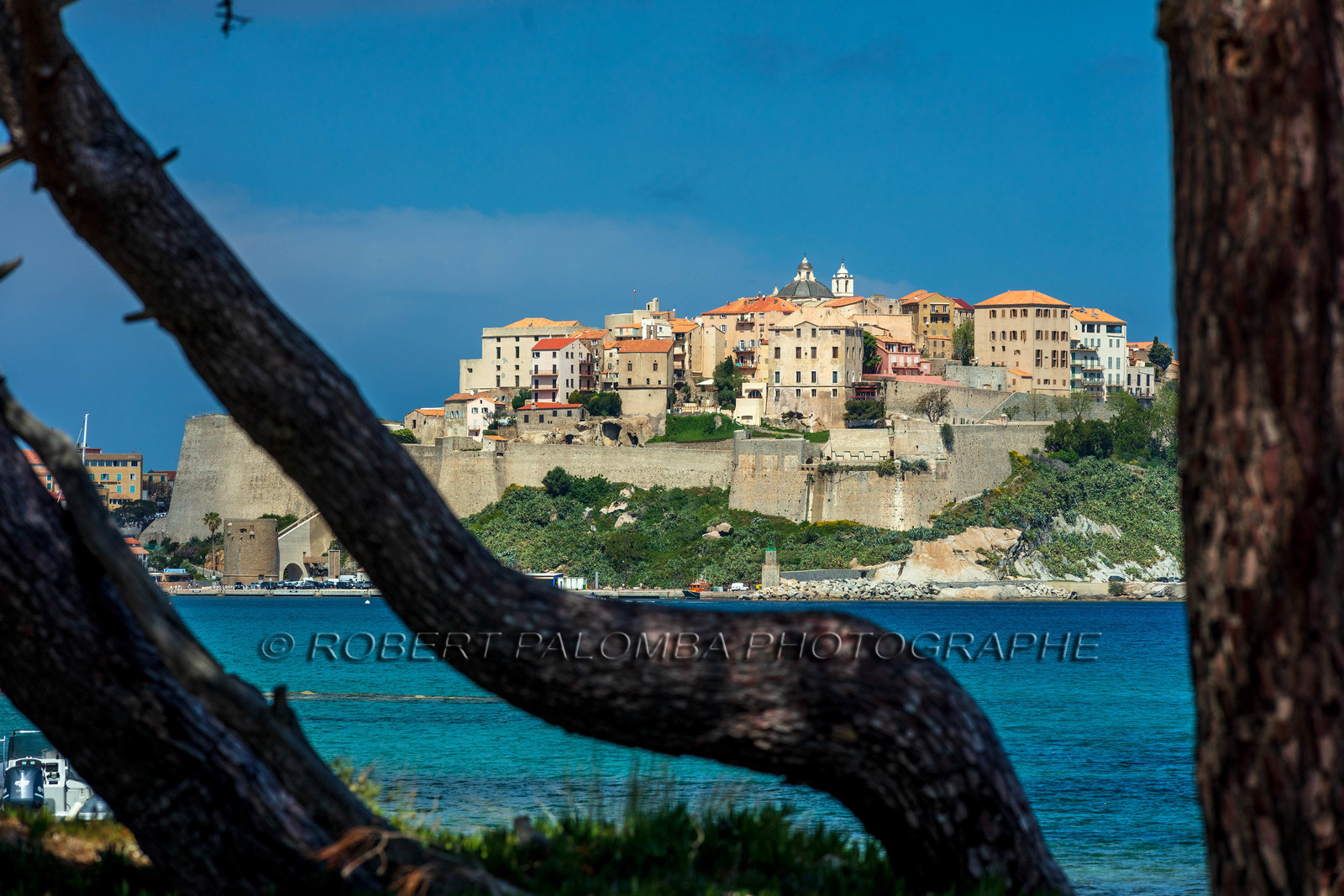 Calvi