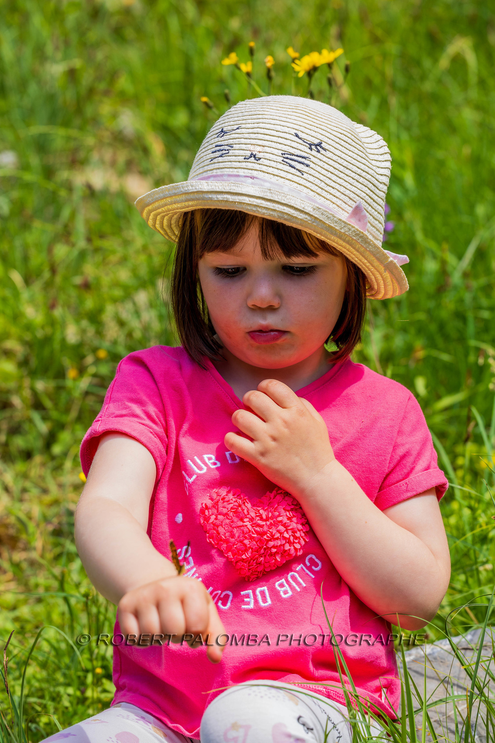 Cascade du Chadoulin