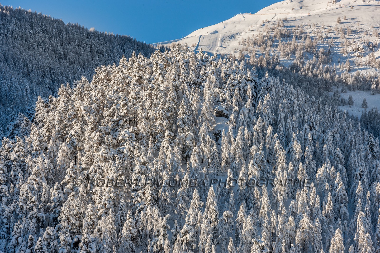Auron