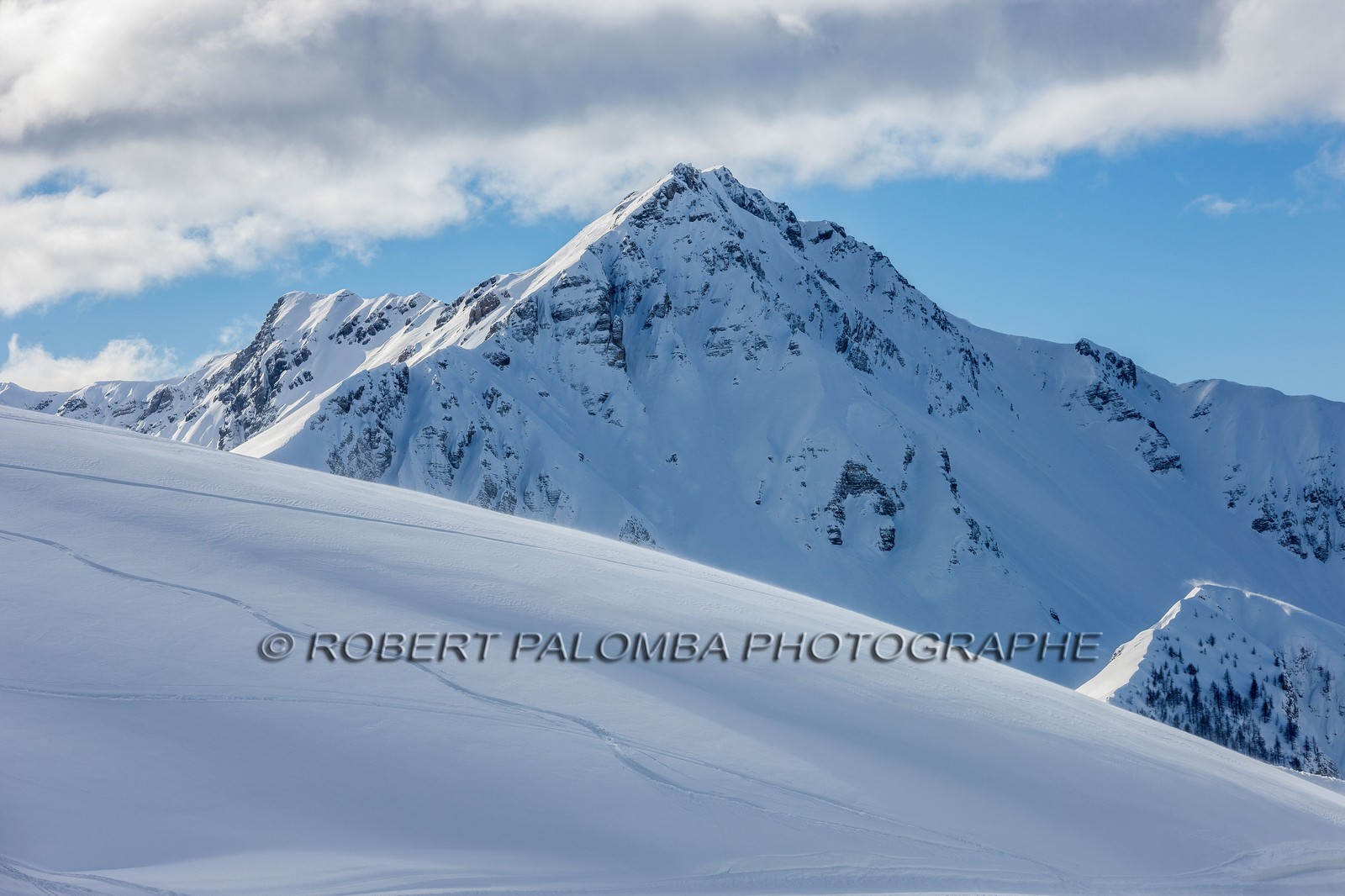 Auron