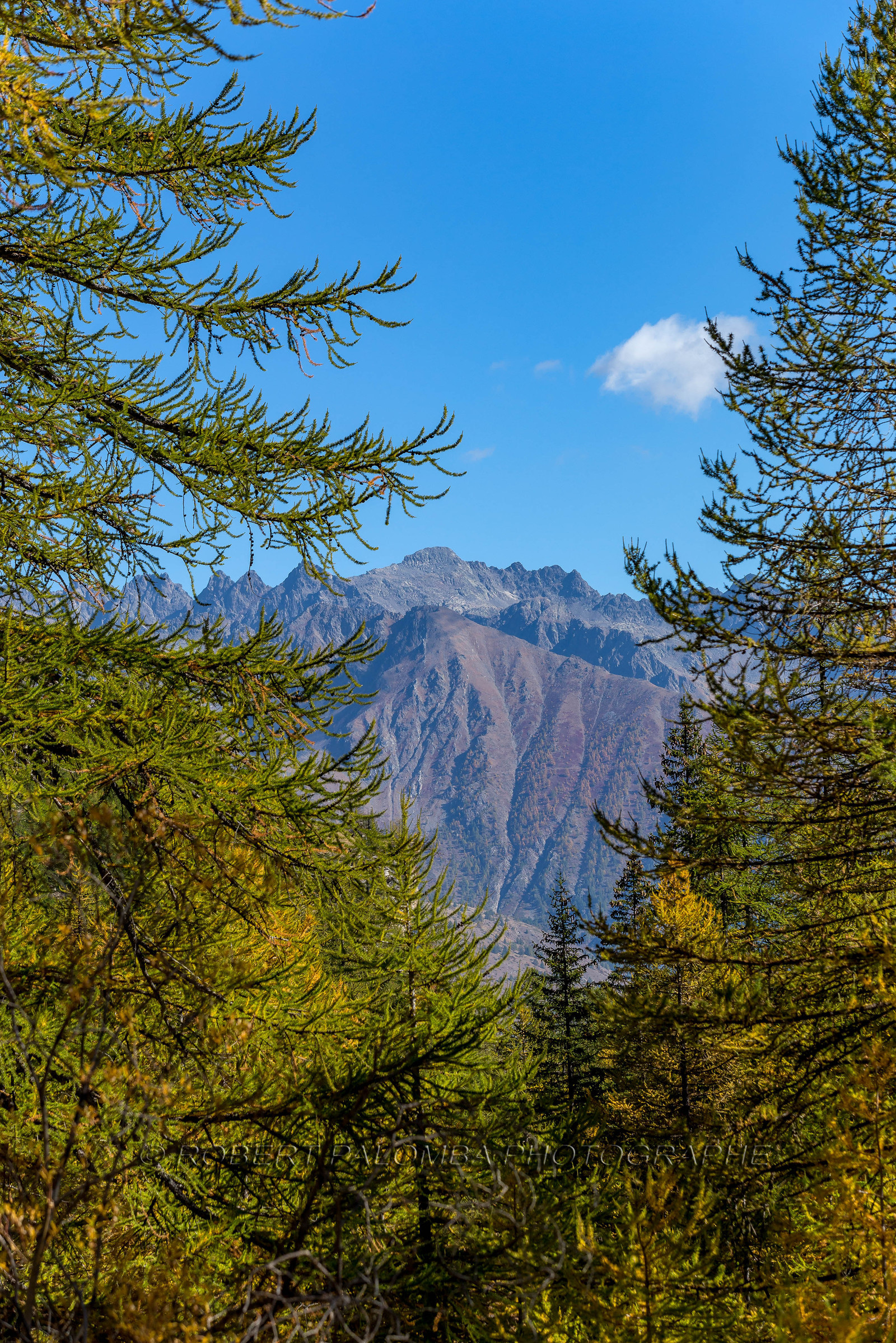 Col de la Moutière