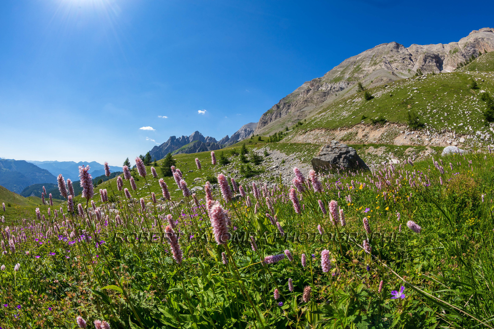 Col des Champs