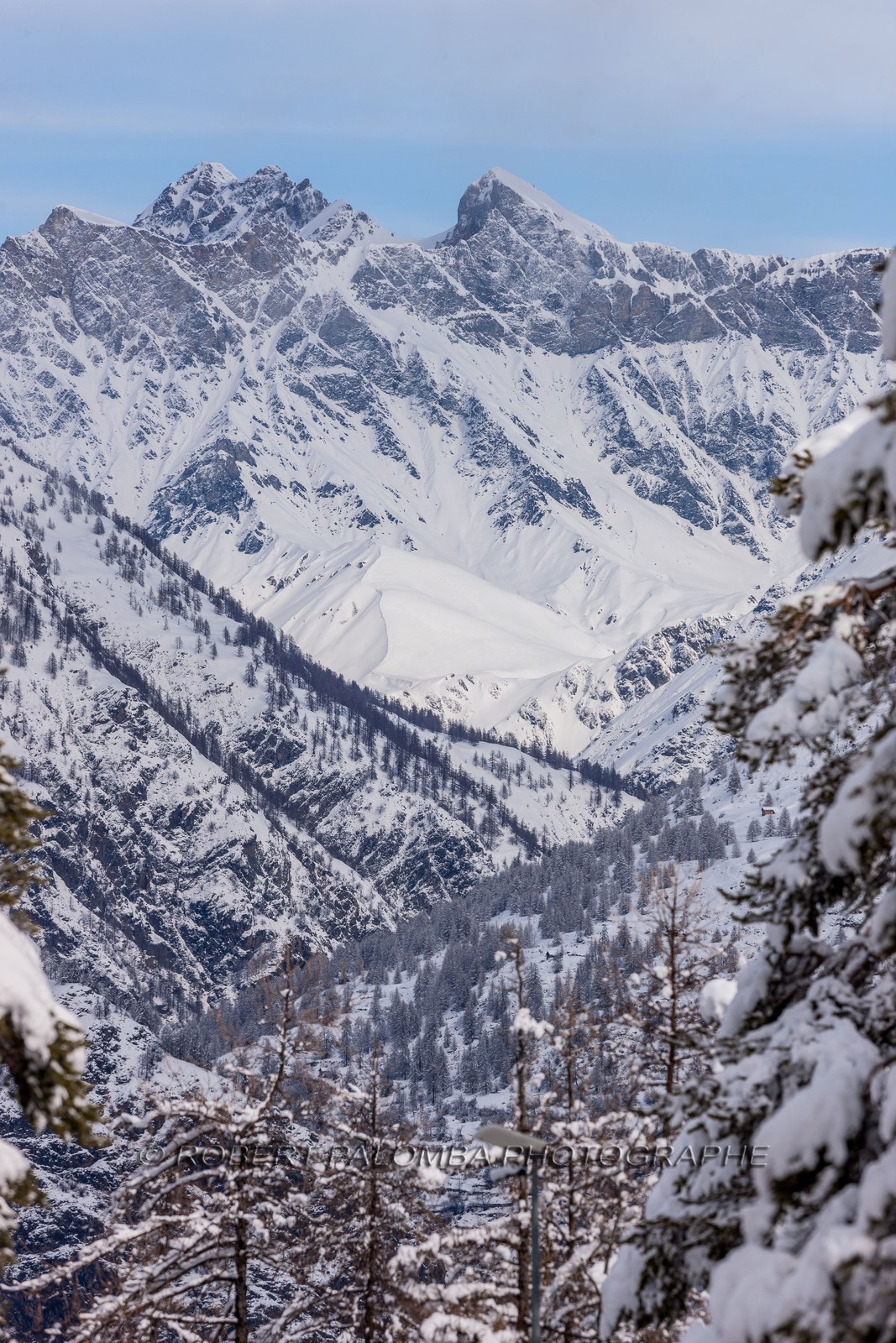 Auron
