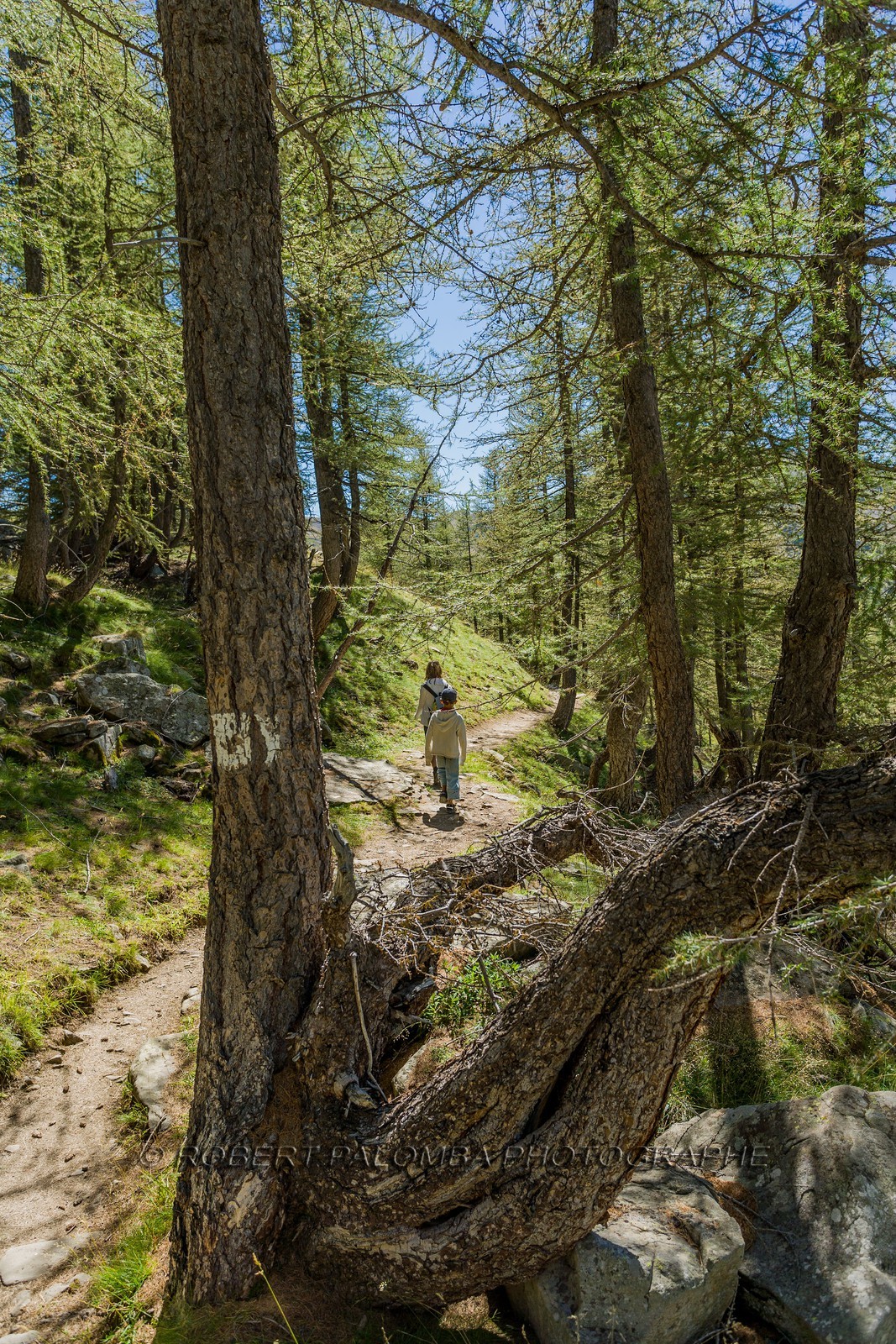 Col de la Petite Cayolle Col de la Petite Cayolle