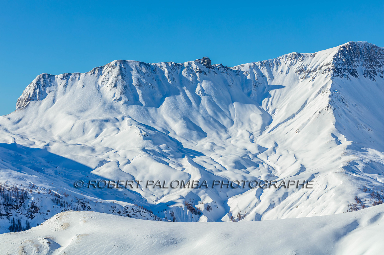 Auron